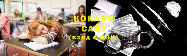 индика Абаза