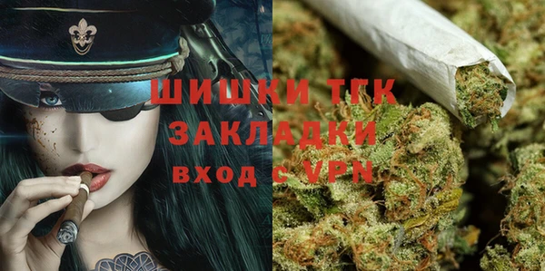 индика Абаза