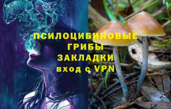 mdma Новозыбков