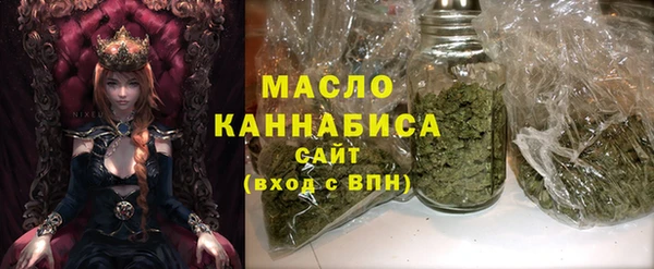 индика Абаза