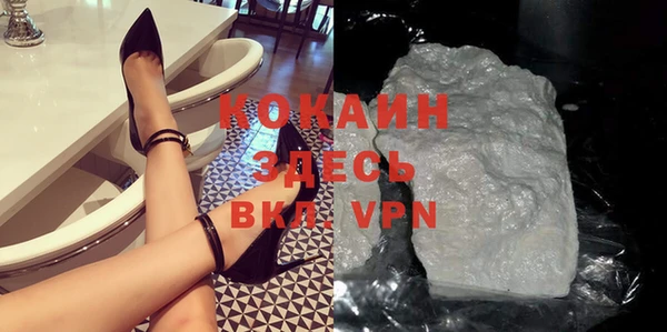 индика Абаза