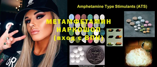 индика Абаза