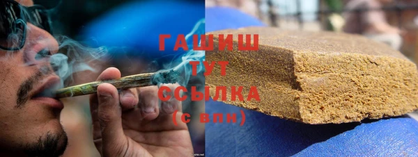 индика Абаза