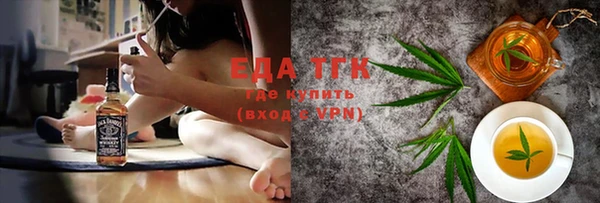 индика Абаза